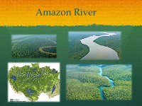 Amazon river - [PDF Document]
